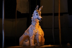 White Dog 19 * 6240 x 4160 * (5.63MB)